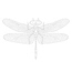 dragonfly's Avatar